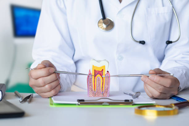 Best Emergency Tooth Extraction  in Svis, IL